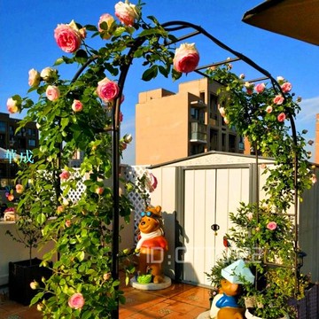拱門花架爬藤架陽臺落地式戶外庭院葡萄架子鐵線蓮三角梅攀爬架子ot20