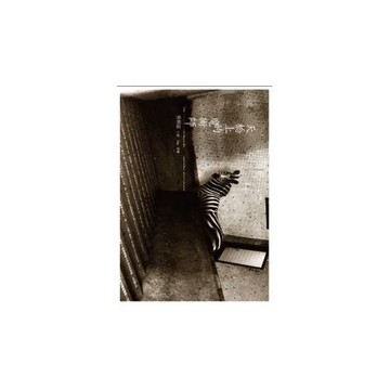 天橋上的魔術師