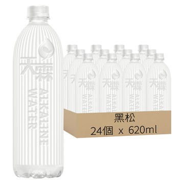 黑松 天霖鹼性離子水 包裝飲用水  24個  620ml