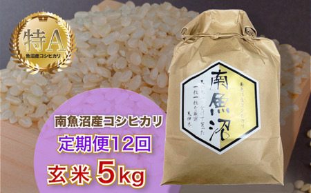 令和5年産 「越後湯沢産」