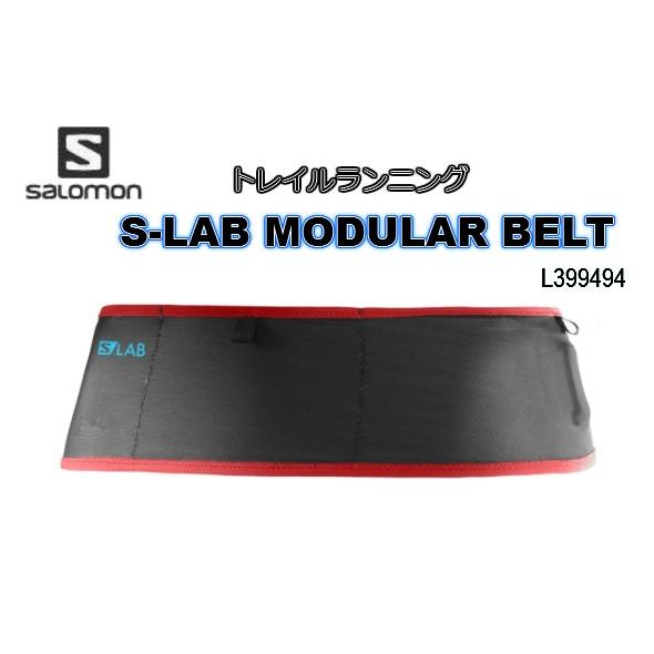 Ceinture salomon 2025 s lab modular