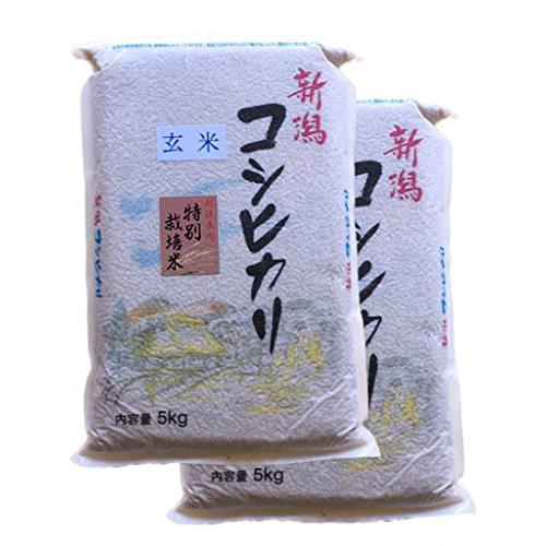 玄米 新潟県産 コシヒカリ 長岡地区 特別栽培米 令和4年産 10kg (5kg×2袋) 新潟辰巳屋