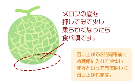 令和6年産 メロン好きのメロン定期便　３回お届け　山形県鶴岡産　元青果