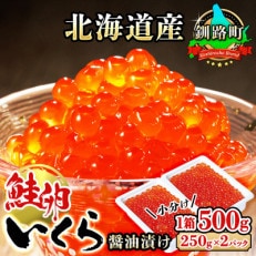 いくら醤油漬け ＜250g×2パック入り 500g＞×1箱 ＜北海道産の鮭卵＞