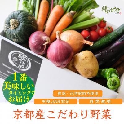 ふるさと納税 京都市 〈12月以降発送〉野菜の売上1%が社会の応援に　京都産こだわりの野菜のセット