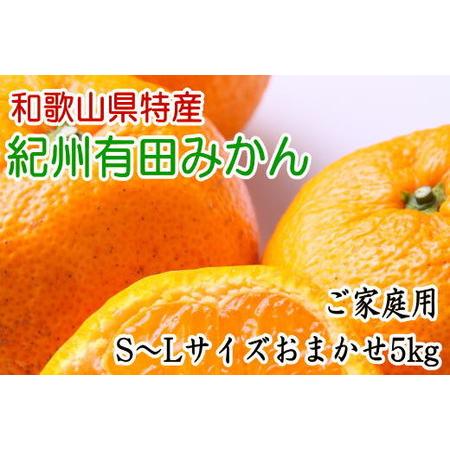 ふるさと納税 和歌山有田みかんご家庭用5kg (S〜Lサイズおまかせ) ※2023年11月中旬〜2024年1月中旬頃に順次発送予定 ふるさと納税 ミカン 和歌山県美浜町