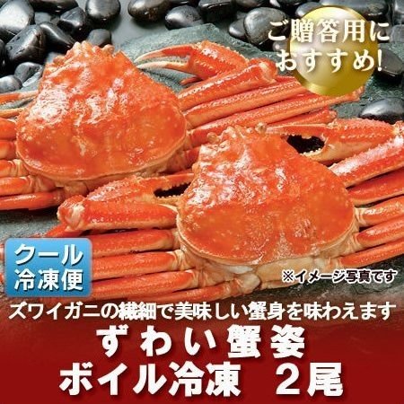 ズワイガニ 姿 送料無料 ズワイガニ 1kg(500g×2) ズワイガニ ボイル ズワイガニ姿 ずわいがに   ずわい蟹   ズワイ蟹