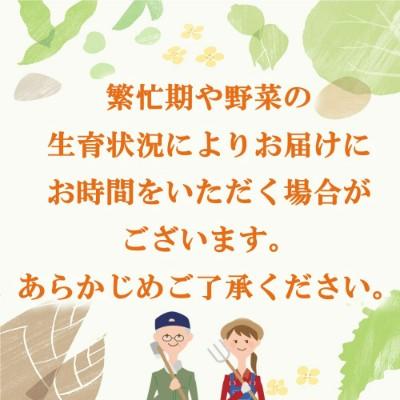 ふるさと納税 神埼市 年間定期便24回 イタリア野菜セットショート 7品 (H078147)