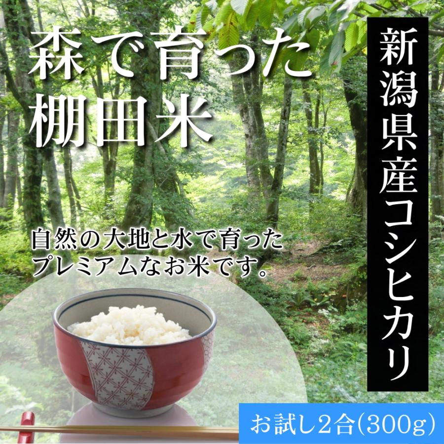 送料無料 森で育ったお米 新潟米コシヒカリ お試し 300g 2合 無洗米 棚田米 プレミアム米 新潟産 ポイント消化