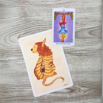 【TATAMI小精靈】烈烈 | 手繪插畫原作