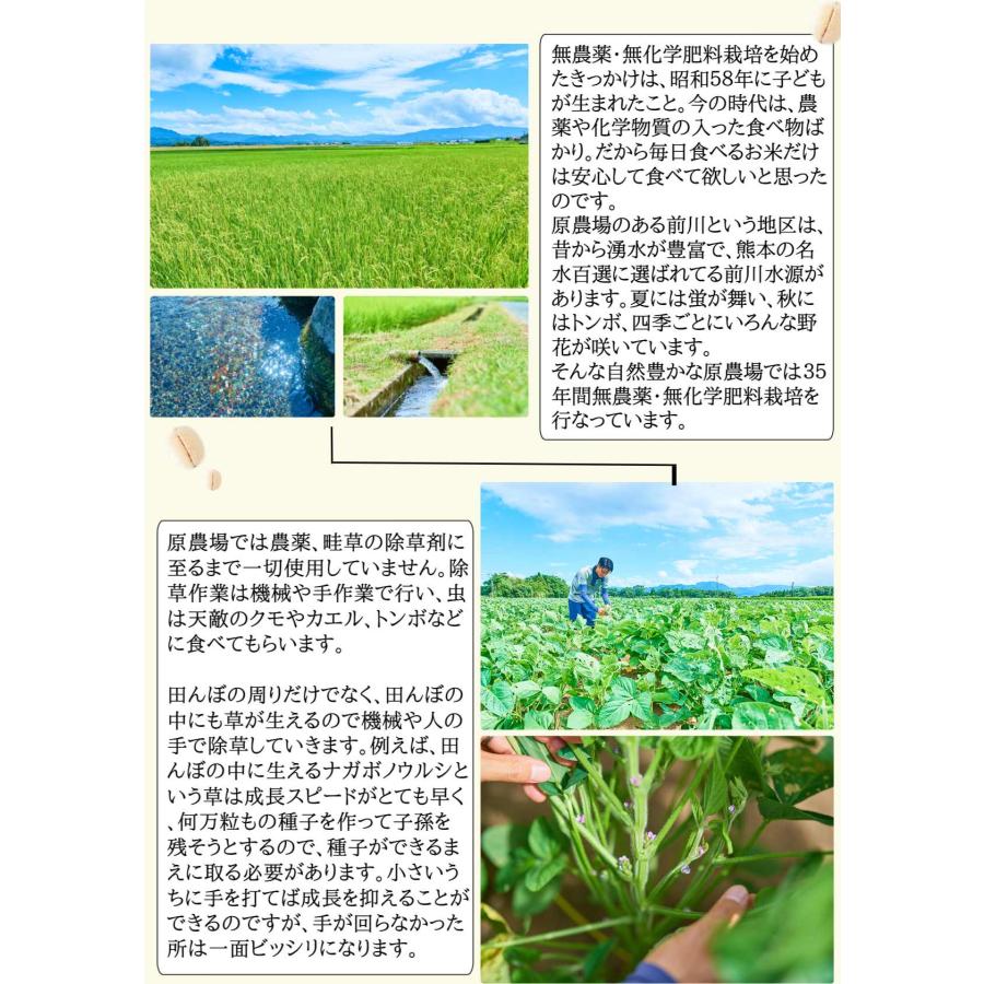 完全無農薬 無化学肥料栽培 原農場のまる麦400g 有機JAS 原さん 国産熊本県産 ぷち麦 プチプチ食感 裸麦 大麦 メール便 無添加 無着色 健康 安全 チャック付き