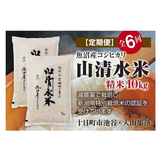 ふるさと納税 新潟県 十日町市 精米10kg　新潟県魚沼産コシヒカリ「山清水米」