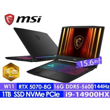 MSI微星 Katana 15 HX B14WGK-1017TW 15.6吋電競筆電(i9-14900HX/16G/1TB SSD/RTX5070-8G/Win11)
