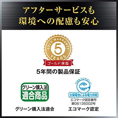 カシオ 本格実務電卓 12桁 グリーン購入法適合 デスクタイプ DS-12WT-N