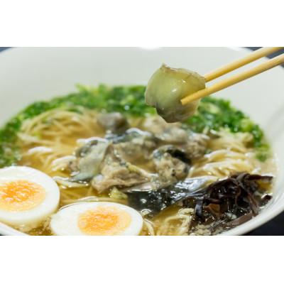 ふるさと納税 安芸市 すっぽん身入りラーメン 2食セット