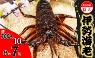 先行予約 伊勢海老 特大 約7kg 約700g×10尾 伊勢えび 伊勢エビ いせえび イセエビ 海老 えび エビ 海鮮 海産物 海の幸 おせち 高級 国産 海鮮 ギフト 