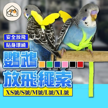 《家有毛孩🐾》鸚鵡放飛繩索 鳥類胸背帶 鳥類牽繩  鳥類外出繩 遛鳥繩 金剛和尚八哥  鳥用品放飛繩 訓練飛行 鸚鵡用品