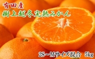 有田産樹上越冬完熟みかん5kg（2S～Mサイズ混合・赤秀）　※2024年1月下旬頃～2024年2月中旬頃