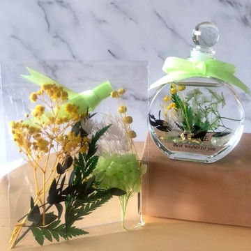 A-ONE 匯旺 浮游花DIY花材包 Set 天然植物乾燥花  翠意盎然 彩色