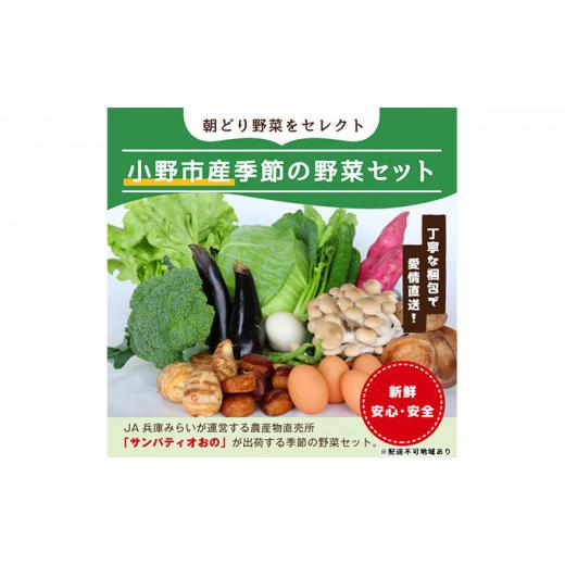 ふるさと納税 兵庫県 小野市 小野市産季節の野菜セット！