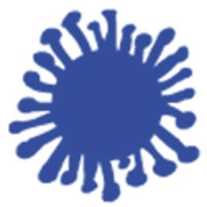 Reaching Vulnerable Groups through Pandemic Policy