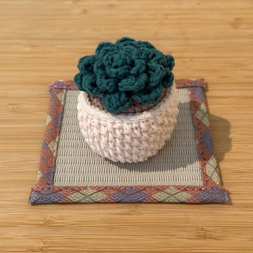 可愛多肉鉤織盆栽