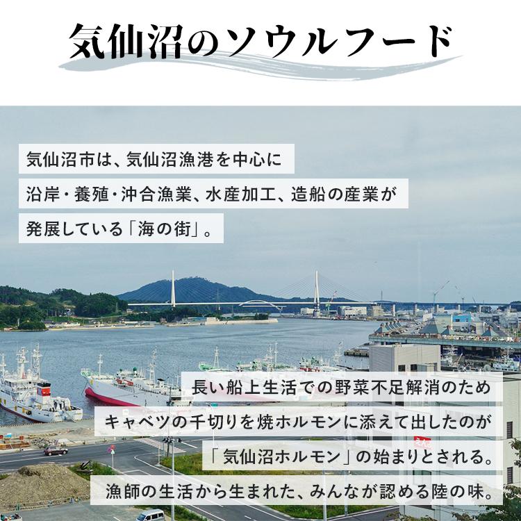 ホルモン 鍋 冷凍 セット 気仙沼ホルモン 味噌味 塩味 3種セット 代引不可 三陸未来 豚ホルモン 国産 気仙沼 直送