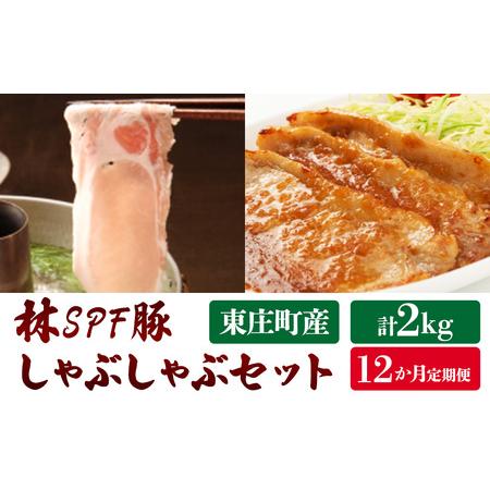 ふるさと納税 東庄町産SPF豚肉／焼肉＆しゃぶしゃぶセット計2kg×12回 千葉県東庄町