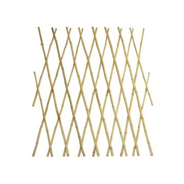 貴竹伸縮籬笆 H150cm