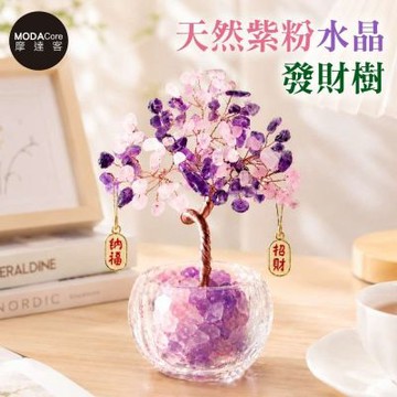摩達客 天然紫粉水晶發財樹招財納福掛飾透明盆底 寓意智慧人緣親和力 質感居家招福擺飾