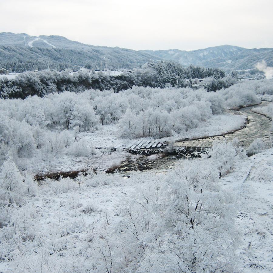 雪国もち 幻のもち米〆張りもち使用生切り餅 1kg