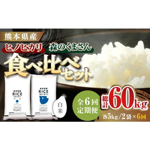 ふるさと納税 熊本県 山鹿市 ヒノヒカリ ・ 森のくまさん 白米 各5kg各5kg 精米 特A ヒ…