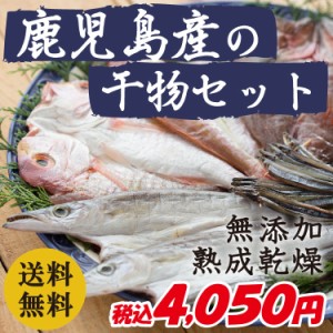 送料無料 鹿児島県産 無添加 熟成乾燥 魚屋厳選 鹿児島の干物セット ポイント消化 big_dr ギフト 特産品