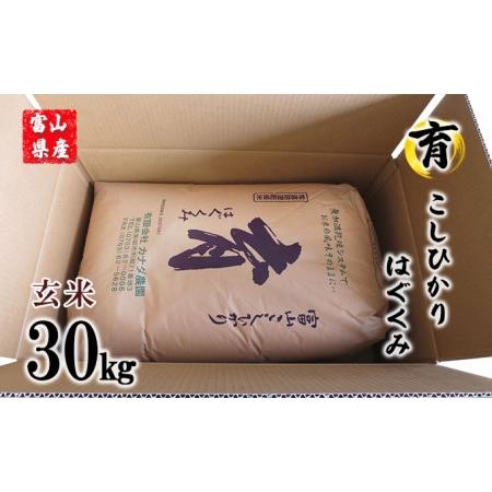 ふるさと納税 富山県産こしひかり　育（はぐくみ）玄米30kg《南砺の逸品》 富山県南砺市