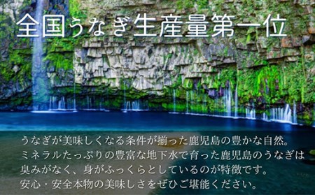 1387 大隅特産うなぎ蒲焼３尾（510ｇ）