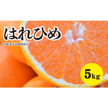 ふるさと納税 みかん 2024年1月以降発送 爽やかな香りと甘さに満足！ 新品種 はれひめ ＜約5kg＞ 広島 三原 佐木島 鷺島みかんじま 広島県三原市