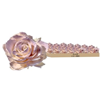 索拉花 碎邊牡丹 4.5cm  霧紫