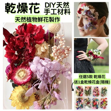 【A-ONE】乾燥花盒 菊花 薰衣草 花束 天然 芳香 療癒 可做香包 插花 滿天星 捧花 D01 隨機乾燥花盒_廠商直送