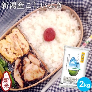 新潟産こしいぶき 2kg ｜お米 白米 米 コシヒカリ新潟 お弁当 おにぎり ギフト 内祝い お返し お祝い 贈答品 贈り物