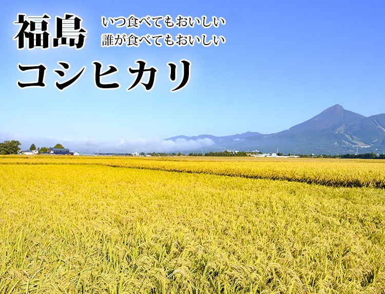 新米 米 白米 5kg コシヒカリ 福島県産 令和5年産 コシヒカリ お米 5キロ 安い 送料無料 沖縄 配送不可