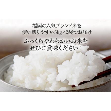 ふるさと納税 新米 令和5年産　福岡県産ブランド米「夢つくし」無洗米　計10kg 福岡県田川市