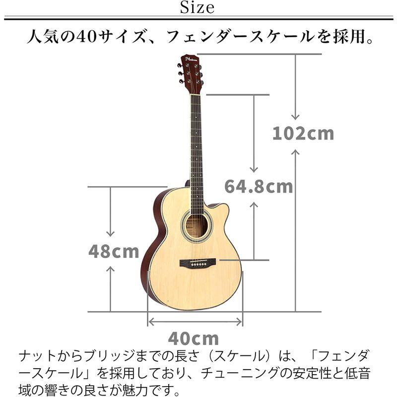 楽器・音楽機材 アコースティックギター 初心者セット カッタウェイ(Cut-Away)タイプ 入門練習ギター 17点セット (4.ブルーサンバースト)