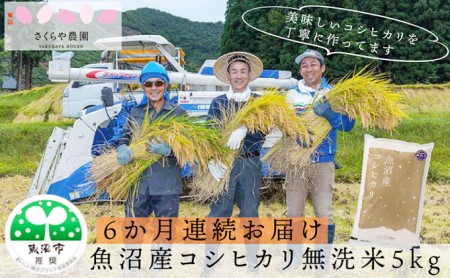 さくらや農園 魚沼産コシヒカリ  無洗米5kg　6ヶ月連続お届け