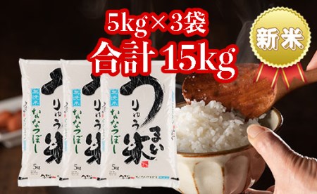 うりゅう米ななつぼし　無洗米5kg×3袋