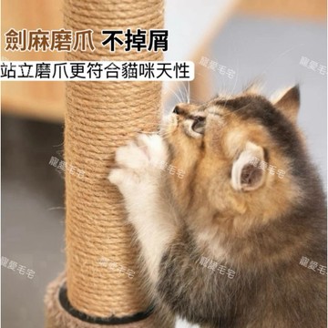 貓抓板 貓抓柱 逗貓球 貓咪磨爪柱 立式貓抓柱 小型貓跳台