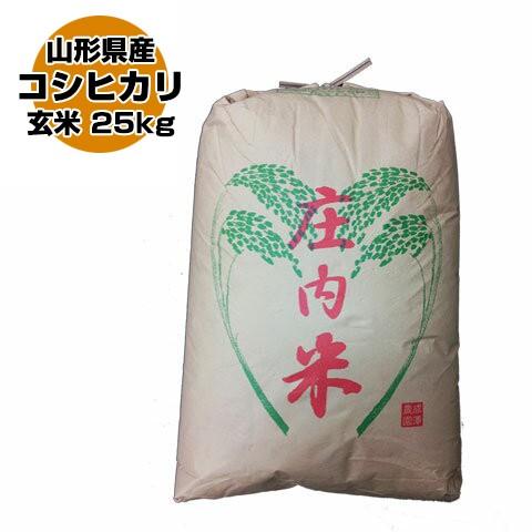 令和5年 山形県産 特別栽培米 コシヒカリ 玄米 25kg(5kg×5)（送料無料）