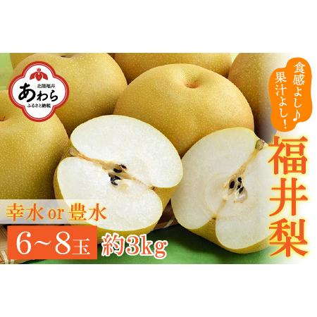 ふるさと納税 福井梨 3kg 6〜8玉入 《幸水梨 豊水梨どちらかのお届け！》 ／ 期間限定 果物 フルーツ 産地直送 旬 お取り寄せ ※2.. 福井県あわら市