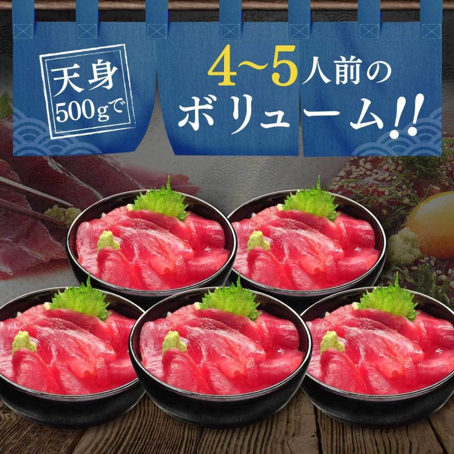 マグロ 刺身 訳あり 赤身 年末 年始 ごちそう 冷凍マグロ 天然南まぐろ天身500g　筋少なめ