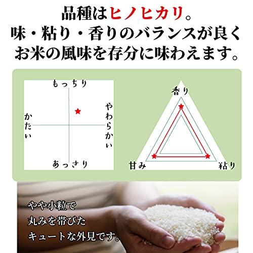 高千穂ムラたび ひのひかり お試しセット 300g×3袋 (ヒノヒカリ) 宮崎県高千穂産 棚田米 お米 メール便