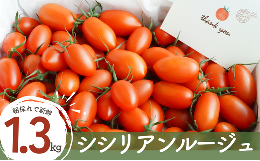げんき農場の朝採れ シシリアンルージュ ｜ トマト ミニトマト とまと 八街 千葉 トマト1.3kg